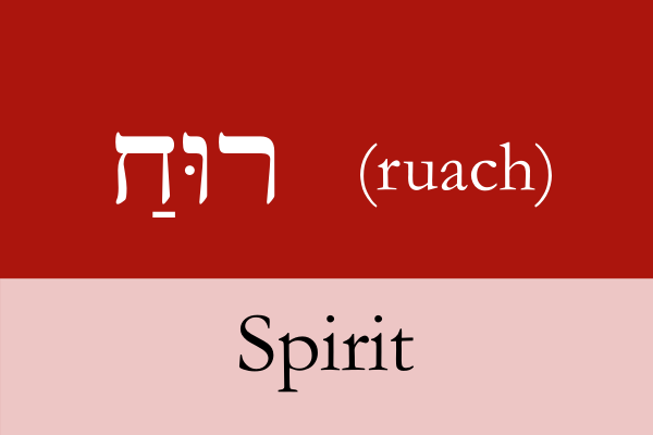 40 Hebrew Words for Forty Days  Day 20  Barnabas Today