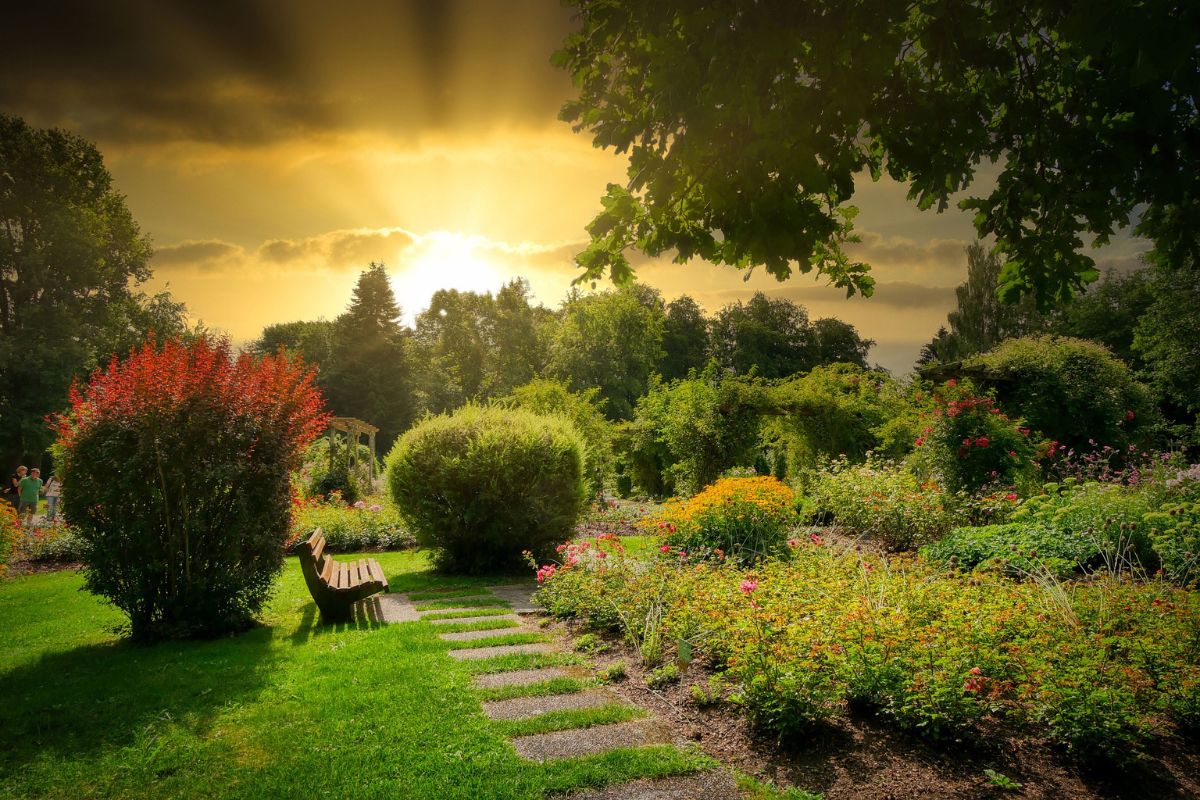 Learning Life Lessons From Biblical Gardens. » Barnabas Today